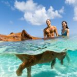 🚀 Descubre Turbo Island: El paraíso de la velocidad en tus vacaciones 🏝️