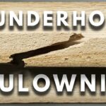 🌱 Descubre cómo cultivar la 🚀 Paulownia Turbo Pro: guía completa y consejos destacados